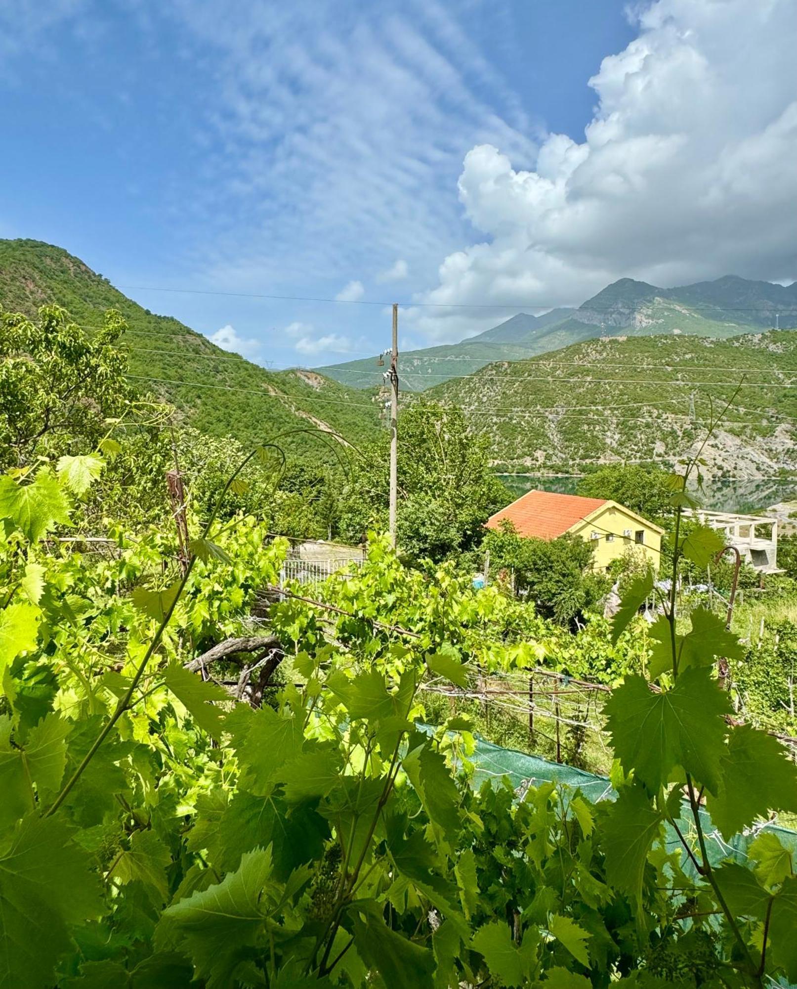 Guest House Noku Koman Dış mekan fotoğraf